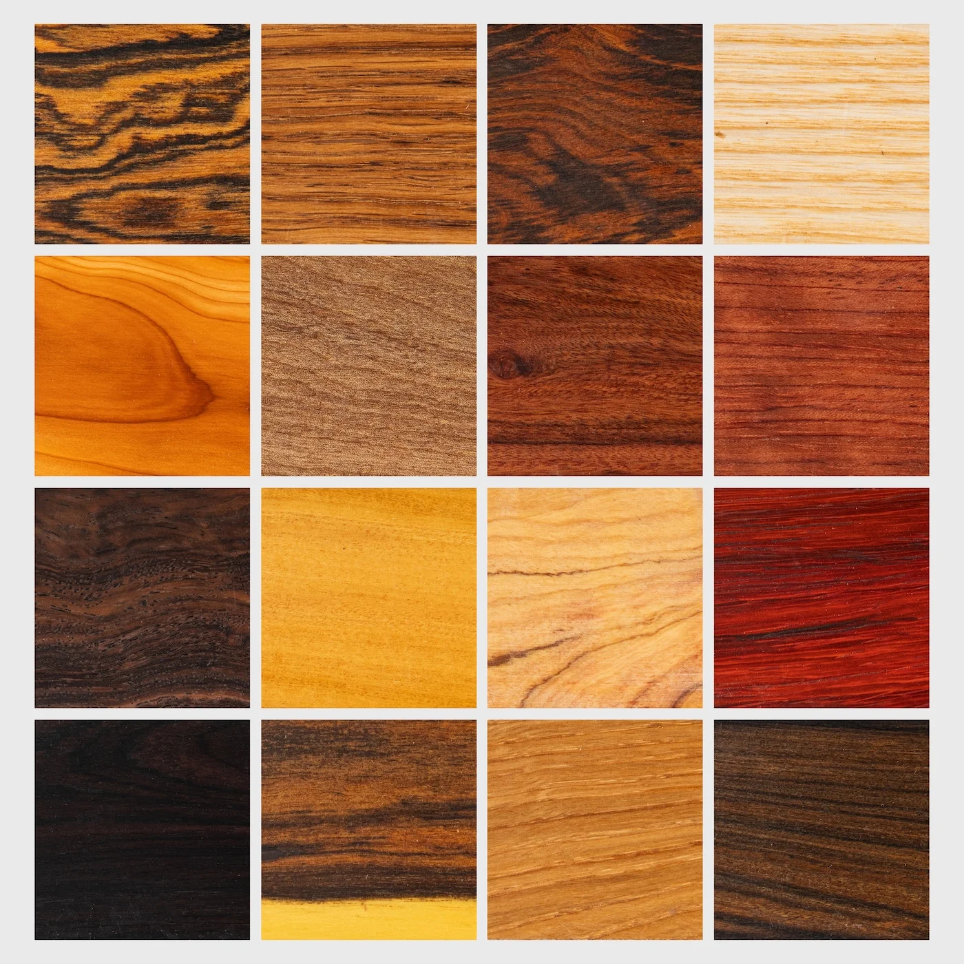 Woods of Savernake Steak Knives